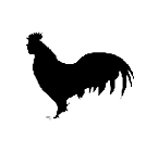 Capreolus capreolus