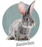 Kaninchen