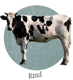 Rind